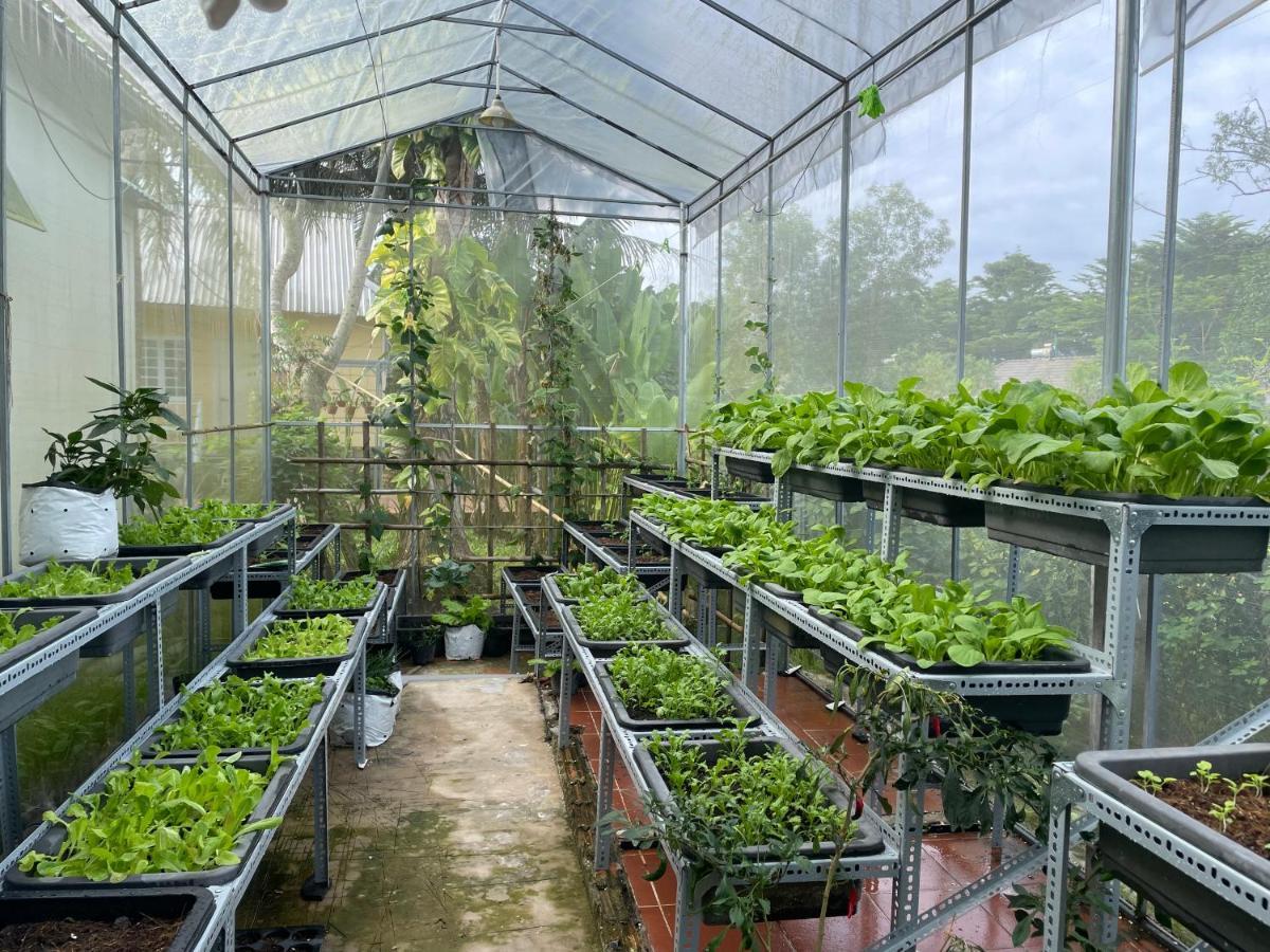 Tropical Garden Phu Quoc Exterior foto