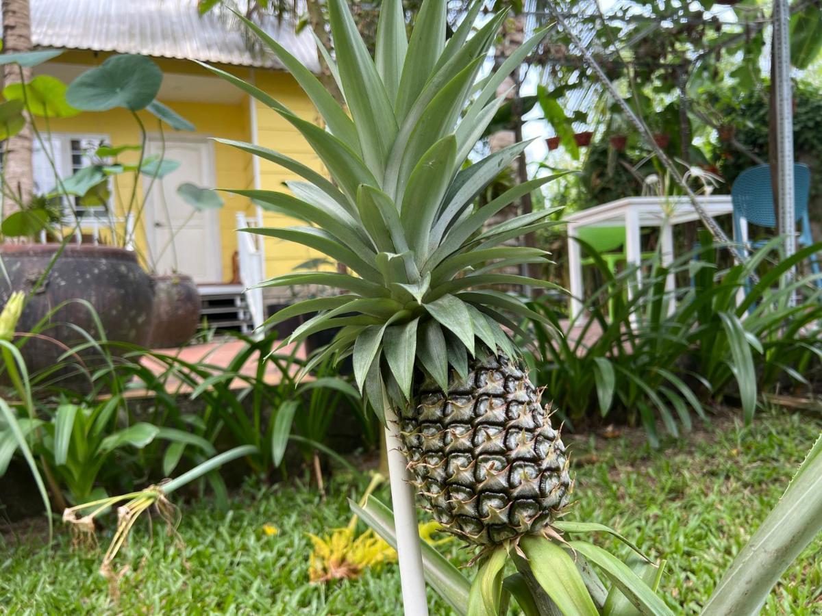 Tropical Garden Phu Quoc Exterior foto