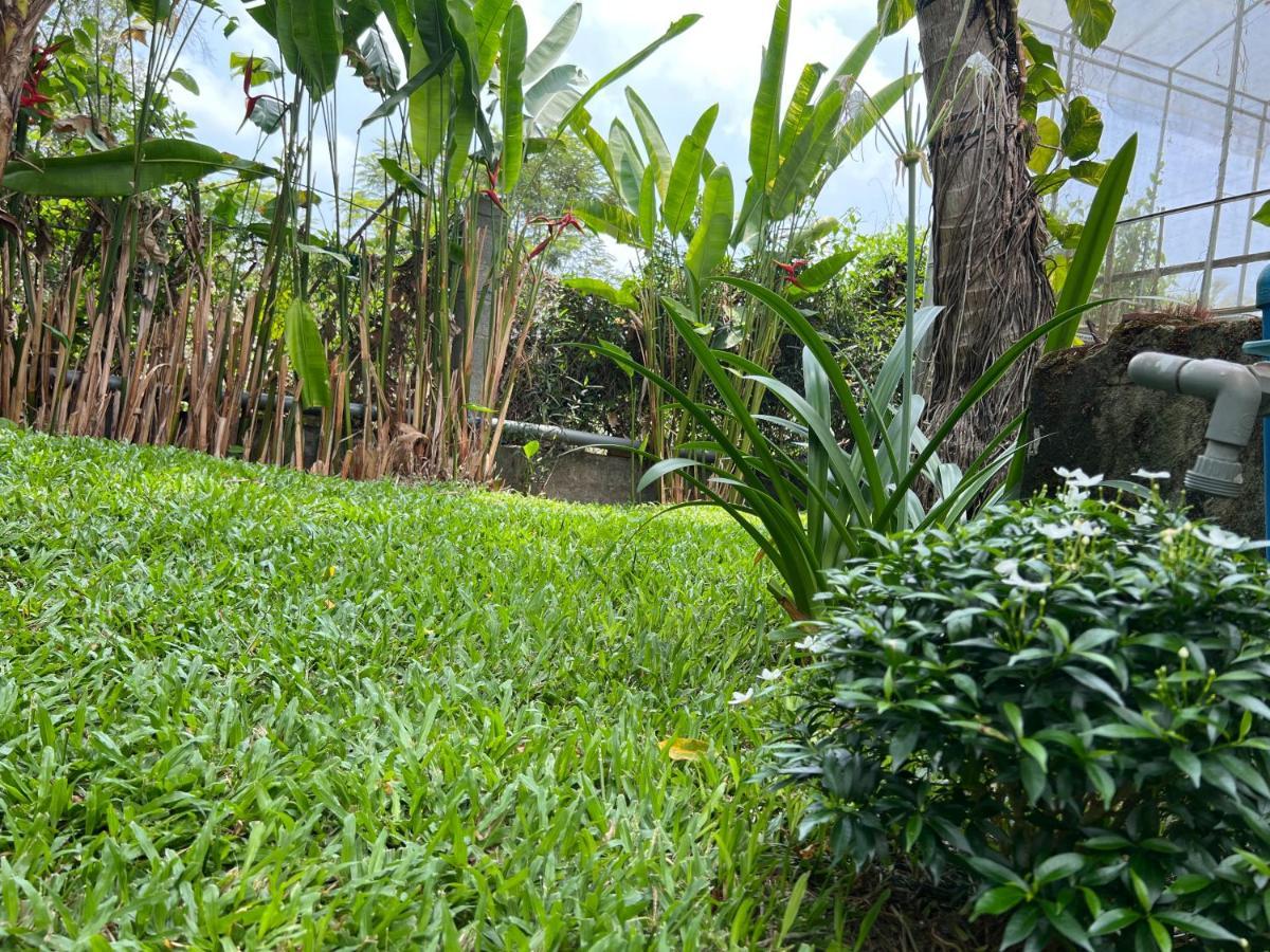 Tropical Garden Phu Quoc Exterior foto