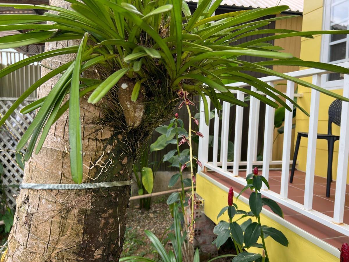 Tropical Garden Phu Quoc Exterior foto